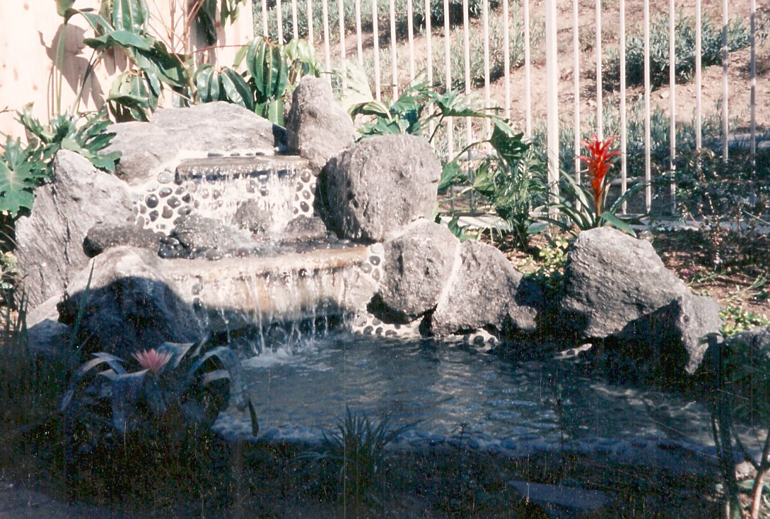 Captured_Photos_00008.jpg