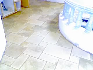 IMGP0564.jpg