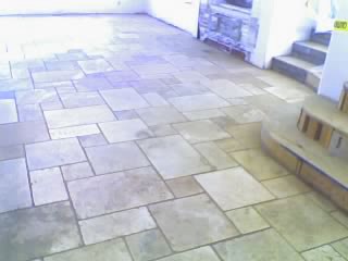 IMGP0564.jpg