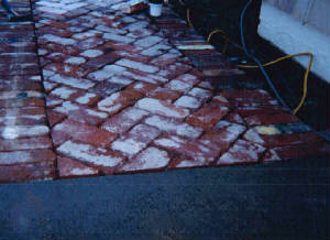 webassets/ag04022.JPG